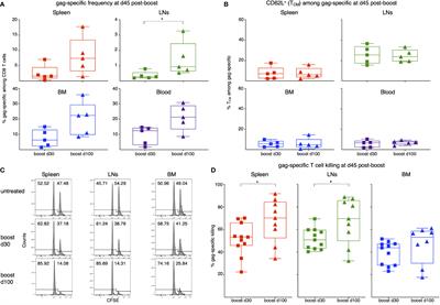 Corrigendum: Improved memory CD8 T cell response to delayed vaccine boost is associated with a distinct molecular signature
